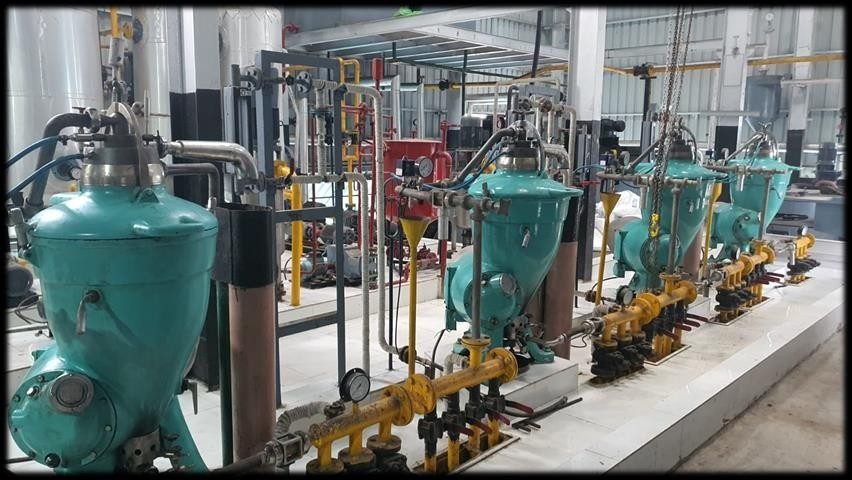 Plant Piping and Pump Installation